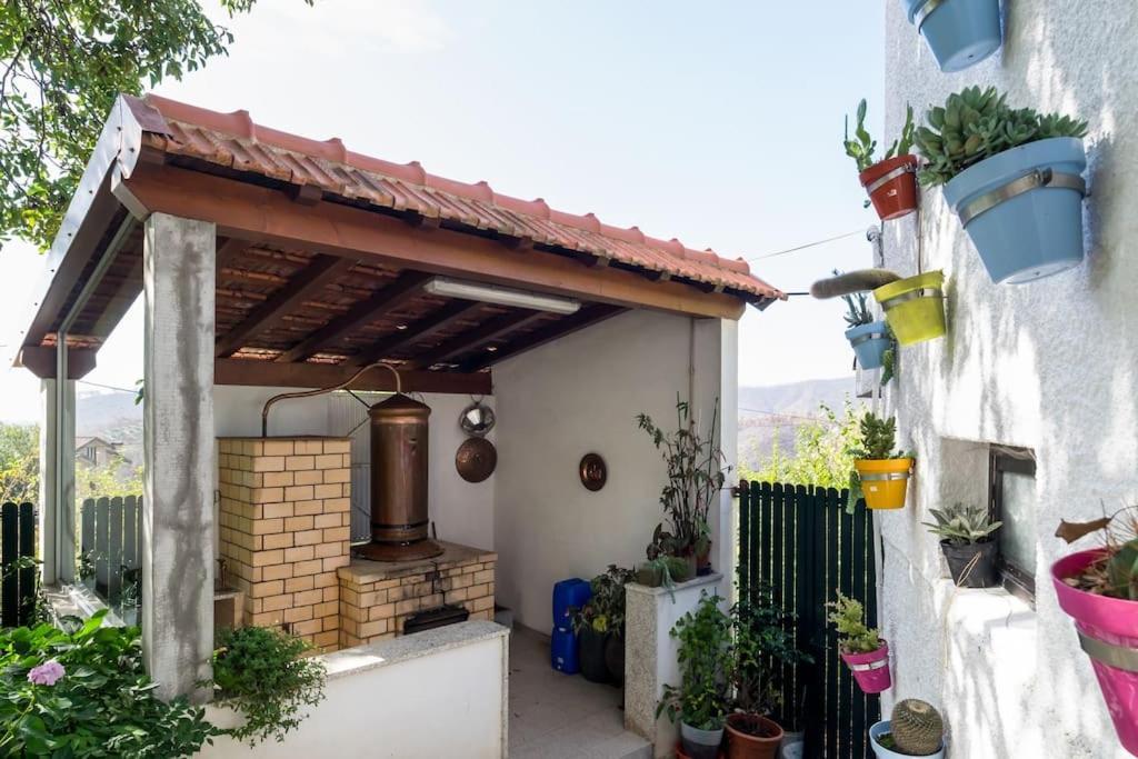 فيلا Casat5, Ferias, Piscina Privativa. Agueda, Aveiro المظهر الخارجي الصورة