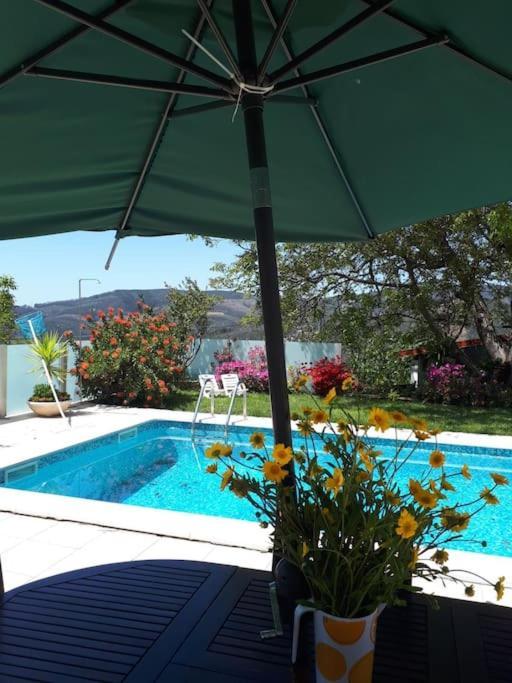 فيلا Casat5, Ferias, Piscina Privativa. Agueda, Aveiro المظهر الخارجي الصورة