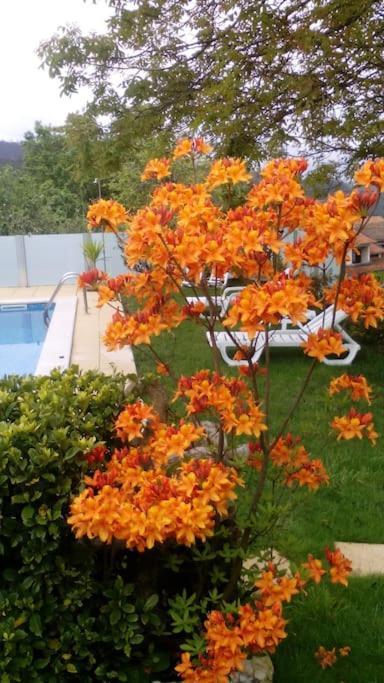 فيلا Casat5, Ferias, Piscina Privativa. Agueda, Aveiro المظهر الخارجي الصورة